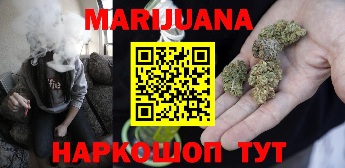 Бошки Шишки планчик Гай
